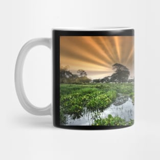 sunset Mug